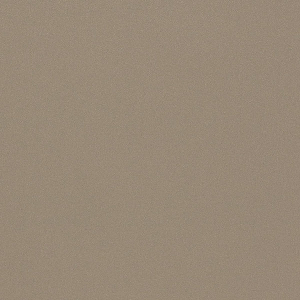 3M™ DI-NOC™ EX Series Architectural Finishes PA-038EX, 4 ft x 164 ft, 1 Roll/Case