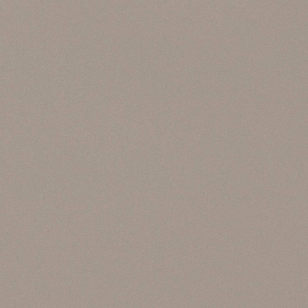 3M™ DI-NOC™ EX Series Architectural Finishes PA-187EX, 4 ft x 164 ft, 1 Roll/Case