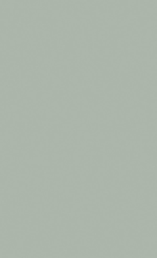 3M™ DI-NOC™ Architectural Finishes Single Color PS-116, 4 ft x 164 ft, 1 Roll/Case