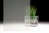 3M™ FASARA™ Glass Finishes Stripe SH2FGST, Shutie Black, 1270 mm x 30 m, 1 Roll/Case