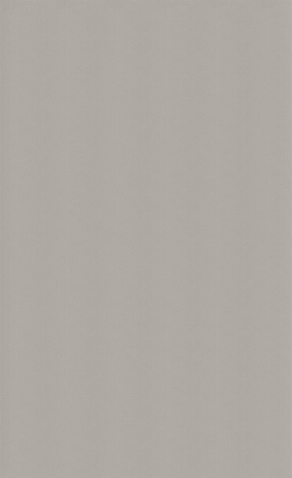 3M™ DI-NOC™ Architectural Finishes Advanced Metallic TE-1650, 1220 m x 50 m, 1/Case, 1 Roll/Case