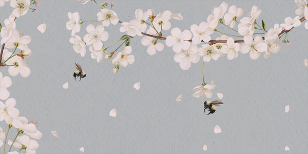Blossom Drift – Minimal Floral Wall Covering